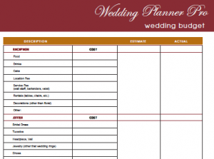 DIY Free Wedding Planner Pro fillable PDF | Free printable labels ...