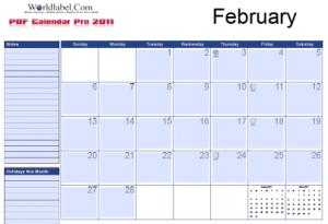 Free 2011 Fillable Calendar Pro | Free printable labels &amp; templates ...